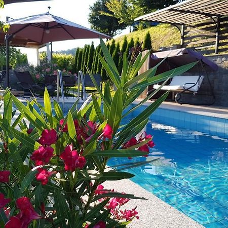 Valentina Guest House At Pintar Wine Estate Kojsko Exterior photo