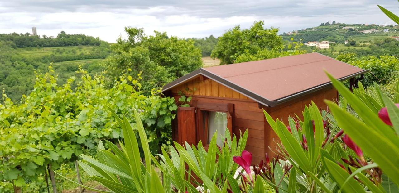 Valentina Guest House At Pintar Wine Estate Kojsko Exterior photo