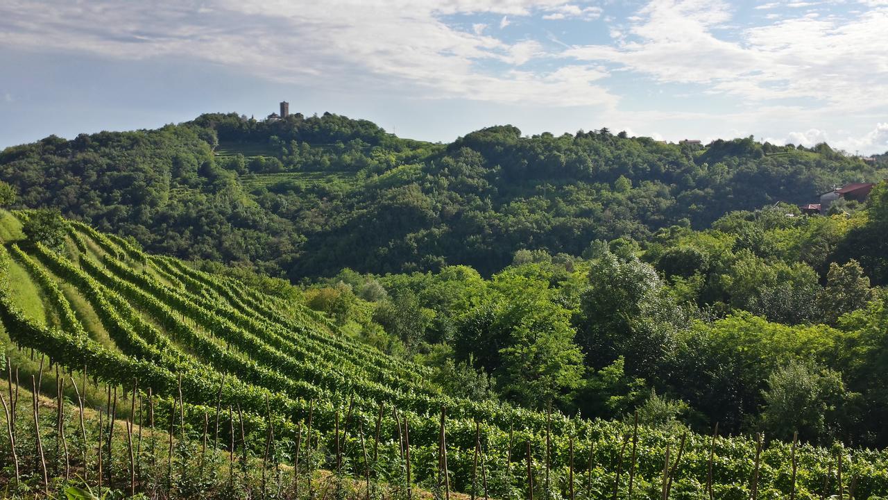 Valentina Guest House At Pintar Wine Estate Kojsko Exterior photo